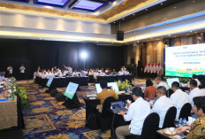 Sumsel Perkuat Peran Lumbung Pangan Sumatera, Siap Antisipasi Dampak Cuaca Ekstrem dan HBKN