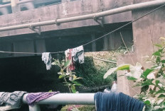 Anak Punk Bermukim di Bawah Jembatan Suak Bara Banyuasin Resahkan Warga, Kerja Dinsos Banyuasin Disorot!