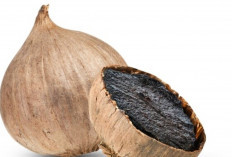 Rutin Konsumsi Bawang Hitam, Hati Lebih Sehat? Ini Faktanya!