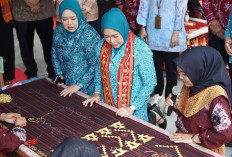 Feby Herman Deru Tinjau Program PKK di OKU Selatan, Dorong Pengembangan Jamur Tiram dan Kerajinan Lokal
