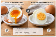 Kandungan Gizi Telur Setengah Matang vs Telur Rebus Matang Sempurna, Mana yang Lebih Baik untuk Kesehatan?