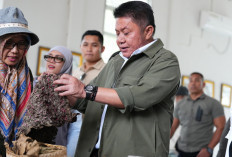 Pemprov Sumsel Dorong Rumah Pewarna Alami Kebun Raya Sriwijaya Jadi Pusat Ekonomi Kreatif
