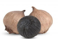 Manis dan Lembut, Ternyata Bawang Hitam Punya Khasiat Luar Biasa!