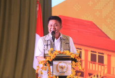 Gubernur Sumsel Usulkan Skema Dukungan Fiskal Daerah Lewat Obligasi Daerah