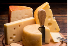 Mengenal 6 Jenis Keju di Dunia: Dari Lembut hingga Tajam, Mana Favoritmu?