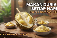 Makan Durian Setiap Hari, Apa yang Terjadi pada Tubuh? Ini Manfaat dan Risikonya