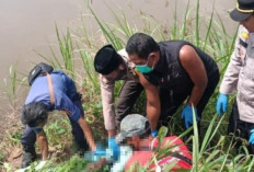 Warga Plaju Ditemukan Tak Bernyawa di Kawasan Sawah di Meritai Rambutan, Ini Penyebabnya