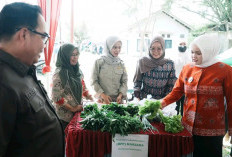 Operasi Pasar Murah di Mariana Dinilai Tak Berdampak, Harga di Pasaran Tetap Tinggi