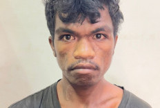 Ancam Korban Pakai Kapak, Pelaku Percobaan Perkosaan di Banyuasin Ditangkap Polisi