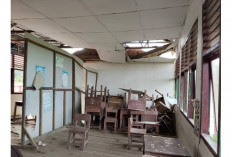 Disdikbud Langsung Respon, Usulkan SDN 17 Tungkal Ilir Prioritas