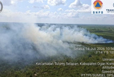Karhutla Meningkat, Empat Daerah di Sumsel Berstatus Zona Oranye hingga Pertengahan Juli 2026