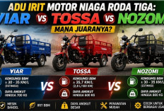 Adu Irit Motor Niaga Roda Tiga: Viar vs Tossa vs Nozomi, Mana Juaranya?