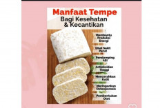 Manfaat Tempe bagi Kesehatan dan Kecantikan, Superfood Lokal yang Kaya Nutrisi