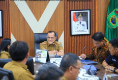 Pemprov Sumsel Bakal Gelar Operasi Pasar Murah, Cek Lokasi dan Tanggalnya!