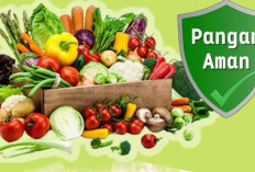 Jarang Makan Sayur dan Buah? Ini Dampaknya bagi Kesehatan Tubuh