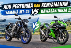 MT-25 vs Ninja 250, Adu Tenaga, Kenyamanan, dan Konsumsi BBM Saat Touring