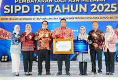 Pemkab Banyuasin Terima Penghargaan Apresiasi SIPD RI dari Bank Sumsel Babel