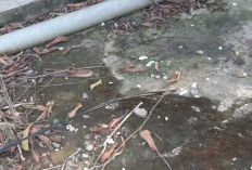 Aksi Maling Siang Bolong Merajalela di Kelurahan Kayuara Kuning