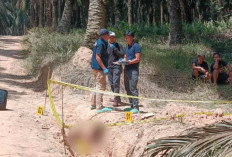 Misteri Penemuan Mayat di Kebun Sawit PT Hindoli Muba, Polisi Dalami Dugaan Korban Dibuang