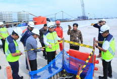 Wagub Cik Ujang Optimistis Jembatan Musi V Fungsional Saat Mudik Lebaran 2026