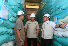 Sumsel Siap Dorong Ketahanan Pangan Lewat Percepatan Tanam