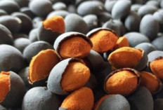 Buah Keranji, Si Hitam Asam Segar yang Kini Langka tapi Kaya Khasiat