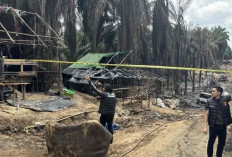 11 Sumur Minyak Ilegal di Muba Meledak dan Terbakar, 8 Mobil Hangus, Polisi Buru 4 Pemilik