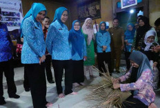 Ketua TP PKK Sumsel Susuri Galeri hingga Dapur Produksi Rude Gebol Djuai, Serap Aspirasi Perajin Purun OKI