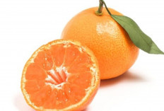 Tak Banyak yang Tahu, Jeruk Ternyata Ampuh Melindungi Jantung dari Penyakit