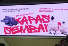 BPTU HPT Sembawa Luncurkan Ayam Kapas Sembawa, Harga Terjangkau untuk Dukung Peternak