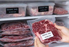 Tips Membekukan Daging Sapi di Kulkas yang Benar Agar Gizi Tetap Terjaga dan Daging Awet Lebih Lama