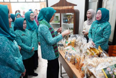 Ketua TP PKK Sumsel Minta PKK Ogan Ilir Rutin Evaluasi Program