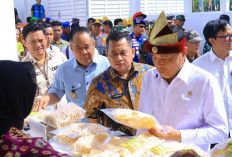 Wagub Sumsel Dampingi Menko Polkam Tinjau Kampung Nelayan Merah Putih Sungsang, Dorong Penguatan Infrastruktur