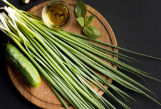 Khasiat Daun Kucai untuk Tubuh, Dari Mata Sehat hingga Cegah Anemia