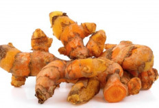 Herbal Tradisional Ini Ternyata Hebat Lindungi Kesehatan Hati