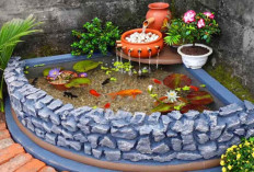Bikin Takjub! Cara Membuat Kolam Ikan Minimalis di Depan Rumah Modal Murah, Hasilnya Bikin Tetangga Iri!