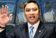 Kepala BGN Umumkan 833 Dapur MBG Ditutup Permanen, Ini Alasan dan Dampaknya bagi Program Makan Bergizi Gratis