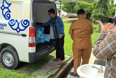 Hari Pertama Masuk Sekolah Ramadhan 2026, SPPG Sukajadi Salurkan MBG Menu Tekwan Ikan Gabus Untuk Siswa