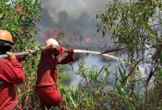 Hotspot Karhutla Sumsel Tembus 241 Titik, Ancaman Kebakaran Makin Tinggi