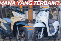 Harga Honda Scoopy dan BeAT Terbaru Juni 2026: Pilihan Warna Baru Bikin Makin Stylish, Mana yang Cocok Untukmu