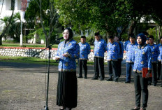 ASN Banyuasin Diminta Kerja Profesional dan Disiplin 