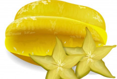 Rahasia di Balik Bentuk Bintangnya, Ini Manfaat Belimbing untuk Jantung dan Pencernaan