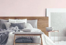 Kenapa Warna Pastel Disukai? Ini Tren Desain dan Rahasia Psikologinya