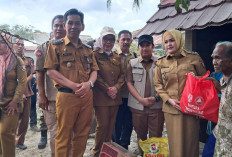 Camat Sembawa dan Wakil Bupati Banyuasin Serahkan Bantuan Tanggap Darurat untuk Korban Kebakaran di Lalang