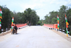 Resmikan Jembatan Air Serami, Herman Deru Serahkan Bantuan Beras untuk Warga OKU