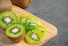 Tak Banyak yang Tahu, Buah Kiwi Bisa Membantu Mengatasi Susah Buang Air Besar