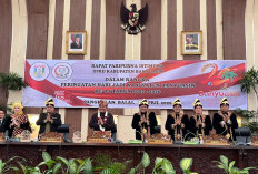 Rais Pimpin Paripurna HUT ke-24 Banyuasin, Dipuji Gubernur hingga Diselingi Candaan Hangat