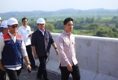 Wapres Gibran Tinjau Progres Jembatan Tol Palembang–Betung, Percepat Konektivitas Sumatera