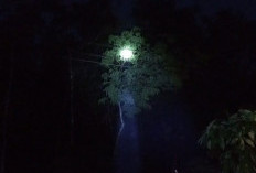 PLN Ungkap Penyebab Listrik Padam di Sejumlah Kecamatan Banyuasin, Sempat Dipicu Sambaran Petir