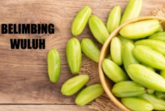 Belimbing Wuluh dan Manfaat Kalium untuk Menjaga Tekanan Darah Tetap Stabil